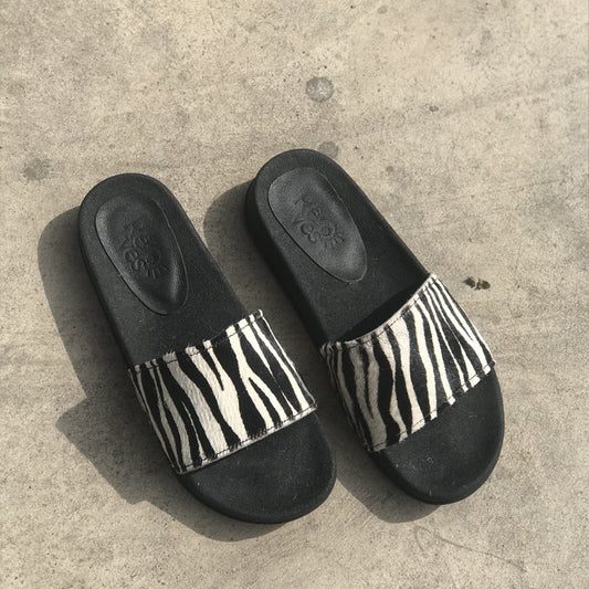 Michi Zebra